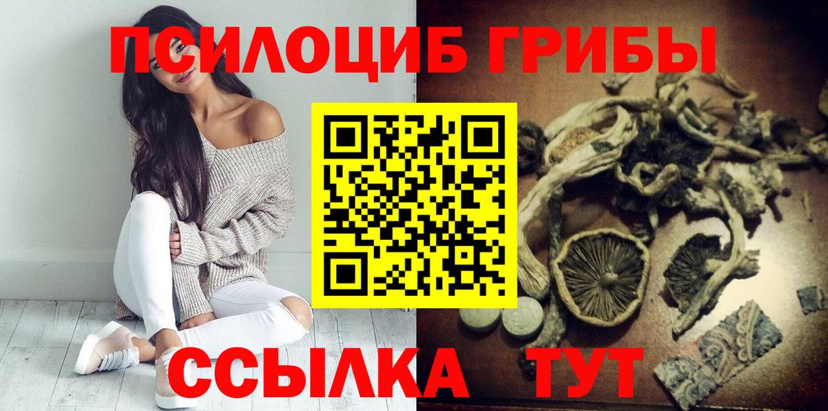 Псилоцибиновые грибы Psilocybine cubensis  Вход с VPN  Петропавловск-Камчатский 
