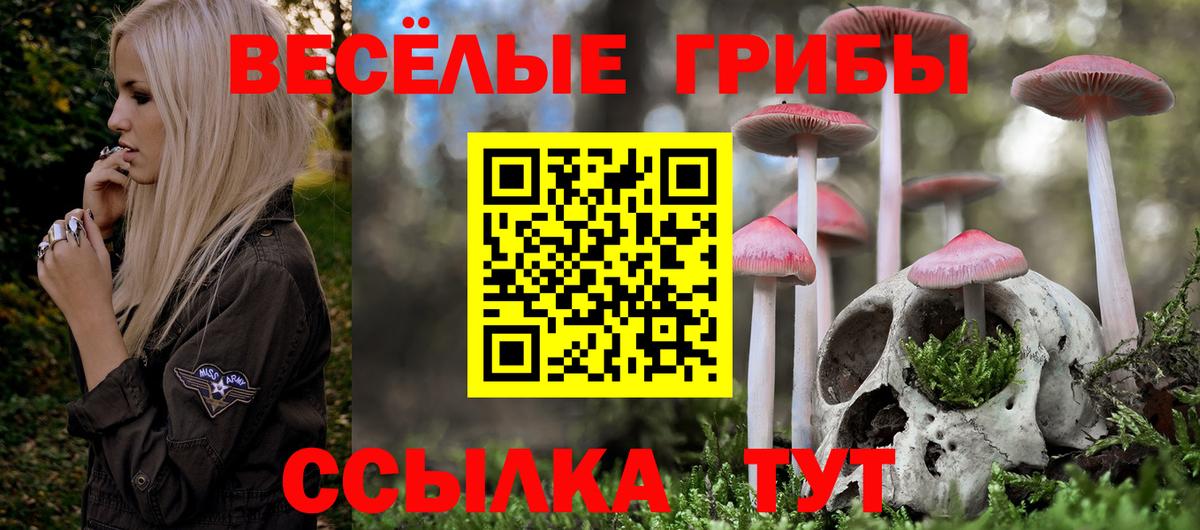 Псилоцибиновые грибы GOLDEN TEACHER Петропавловск-Камчатский